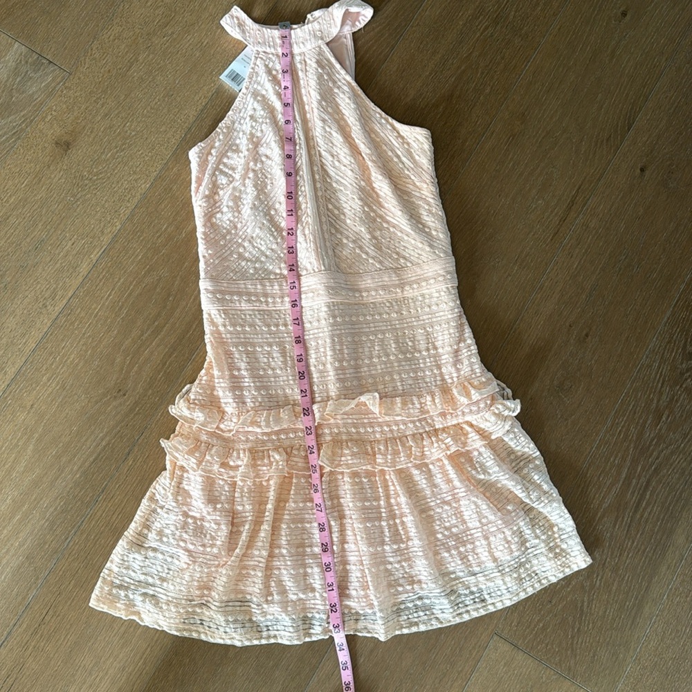 Bebe pink stripe lace dress - Picture 6 of 7